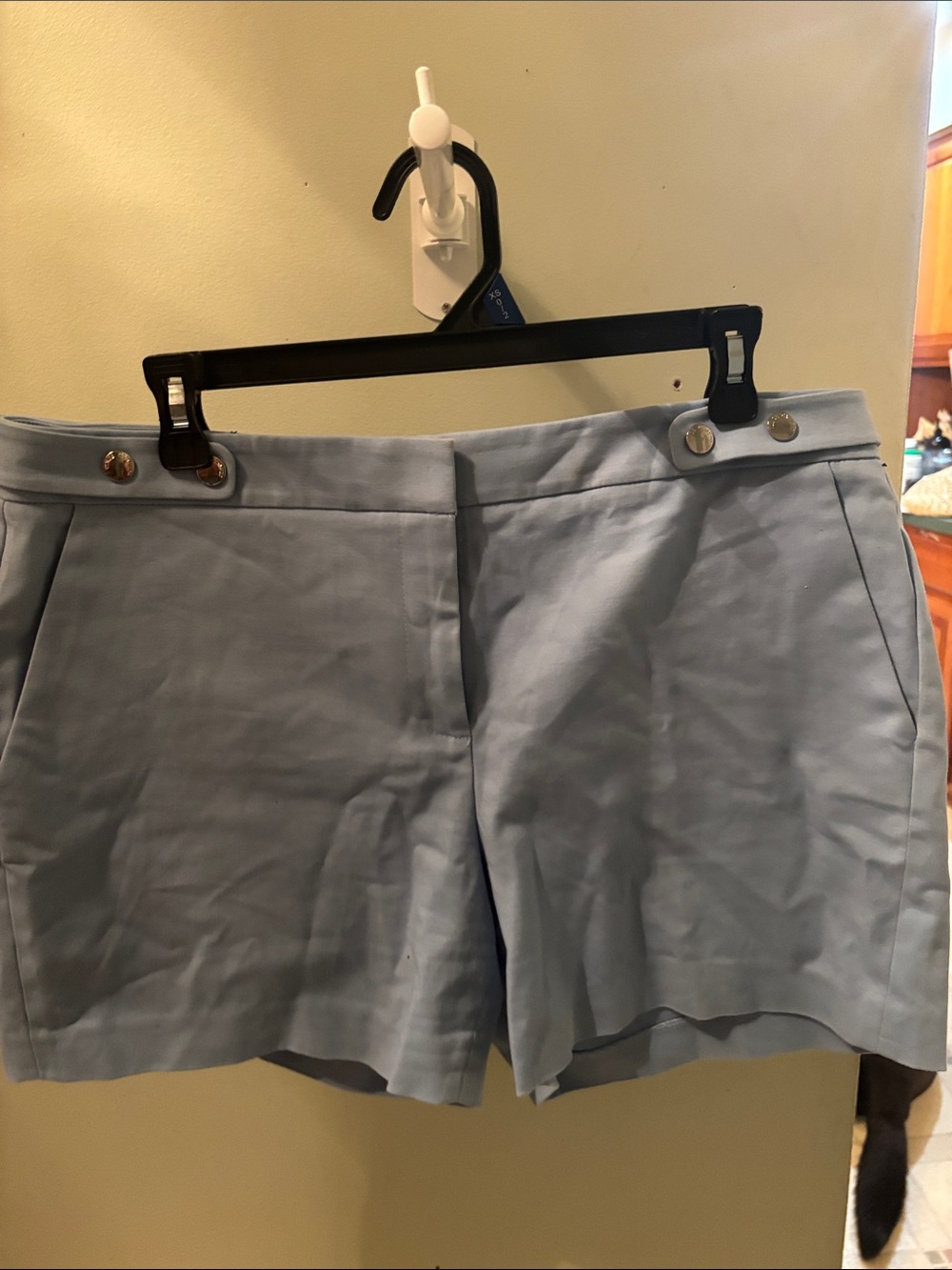 Vince Camuto Light Blue Tailored Bermuda Shorts